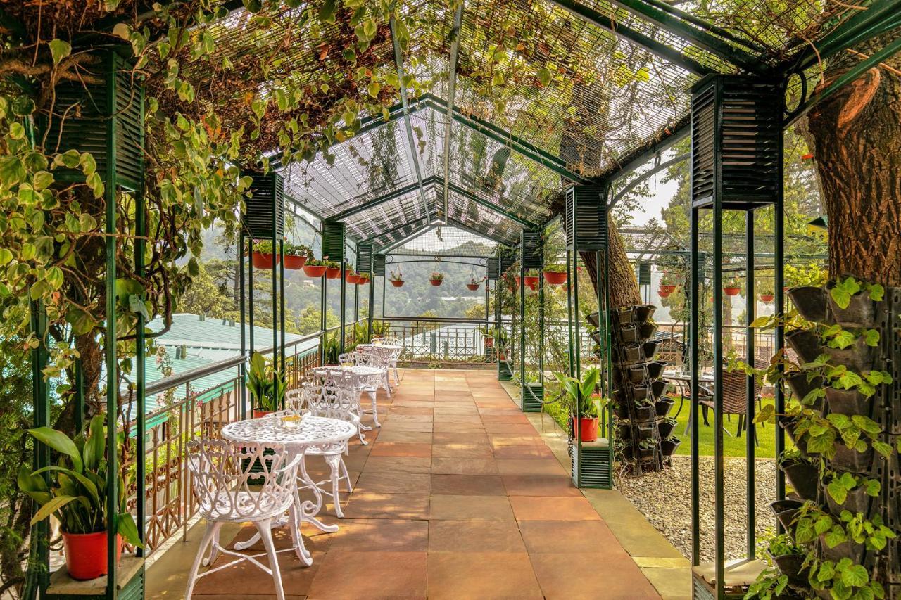 Shervani Hilltop Resort Nainital Eksteriør bilde