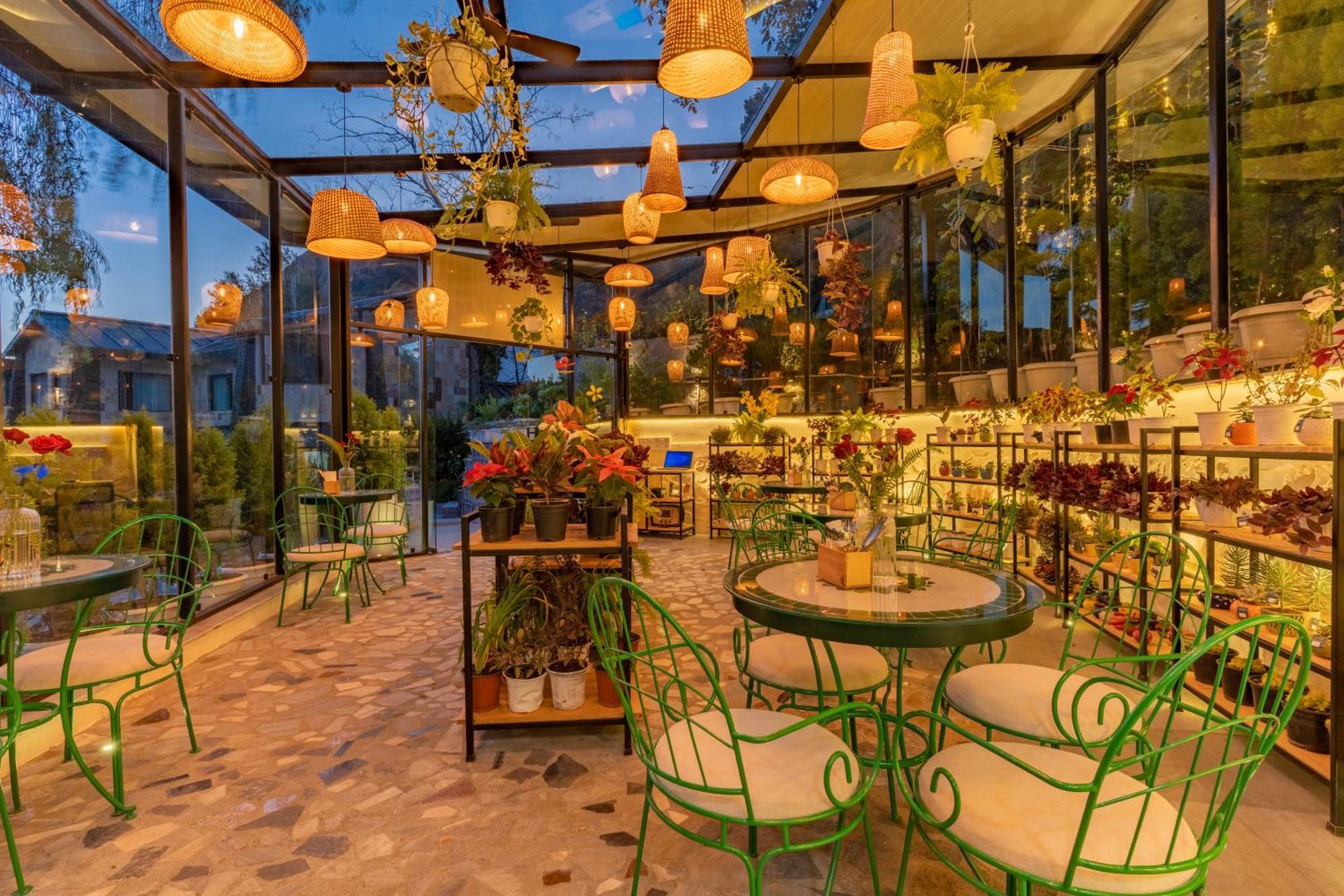 Shervani Hilltop Resort Nainital Eksteriør bilde