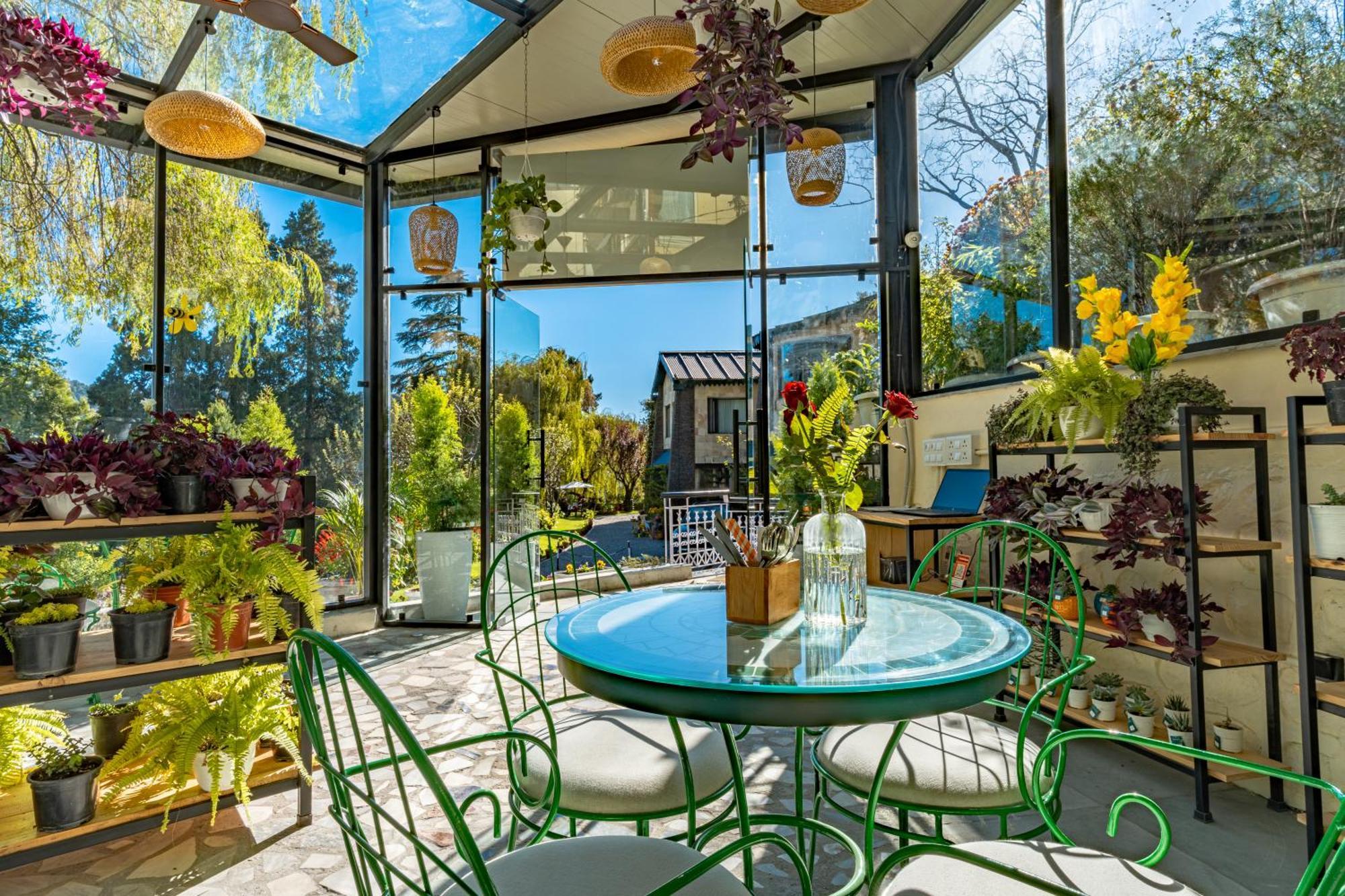 Shervani Hilltop Resort Nainital Eksteriør bilde