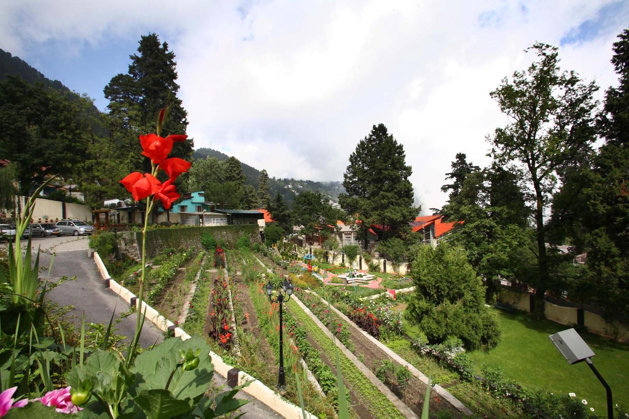 Shervani Hilltop Resort Nainital Eksteriør bilde